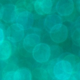 Bokeh-443
